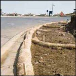 Wattles for Erosion Control